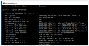 Command prompt LAN details.png